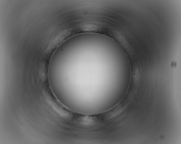 X0000111370261200907171205