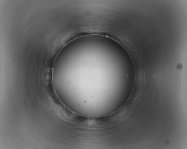 X0000111370264200907171205