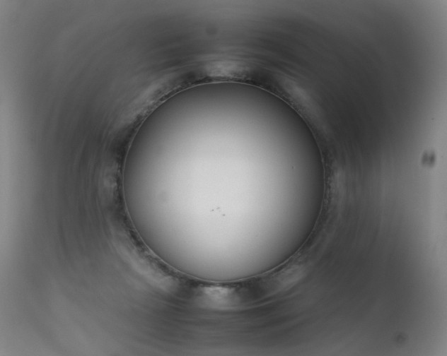 X0000111370265200907171205