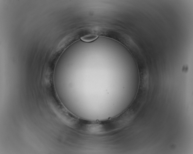 X0000111370266200907171205