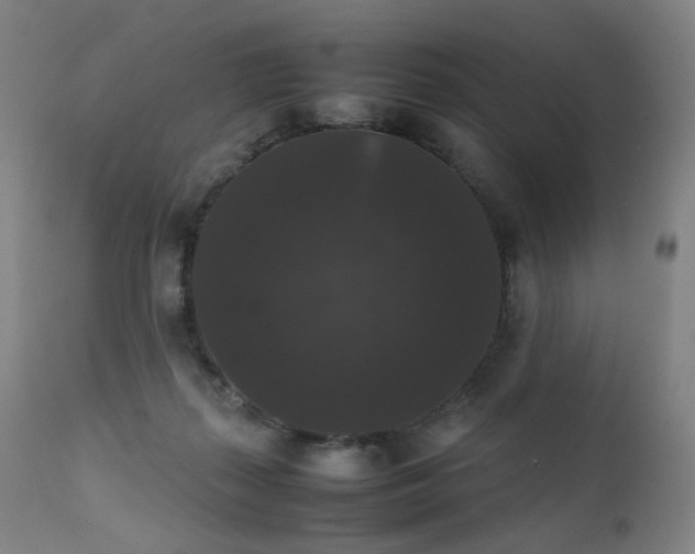 X0000111370267200907171206