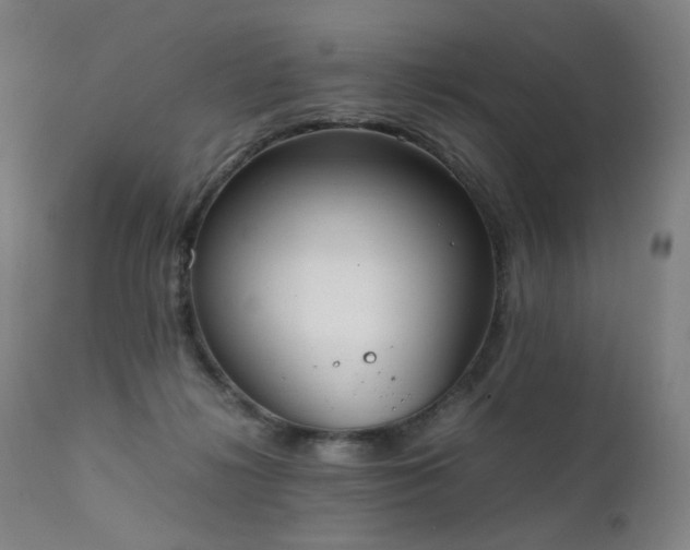 X0000111370268200907171206