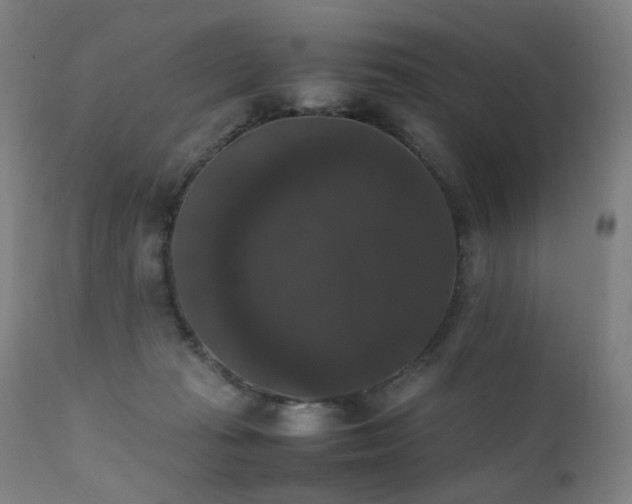 X0000111370269200907171206