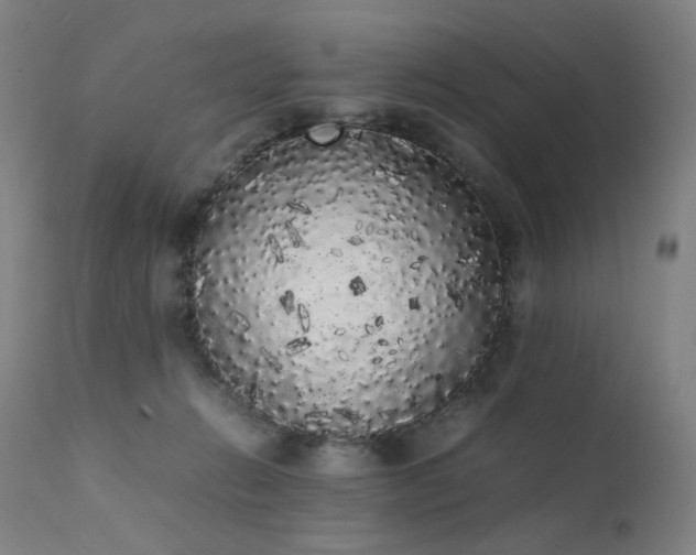 X0000111370270200907171206