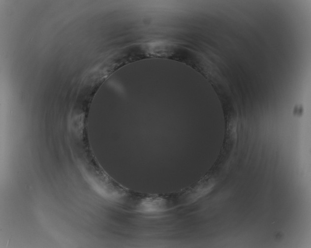 X0000111370271200907171206