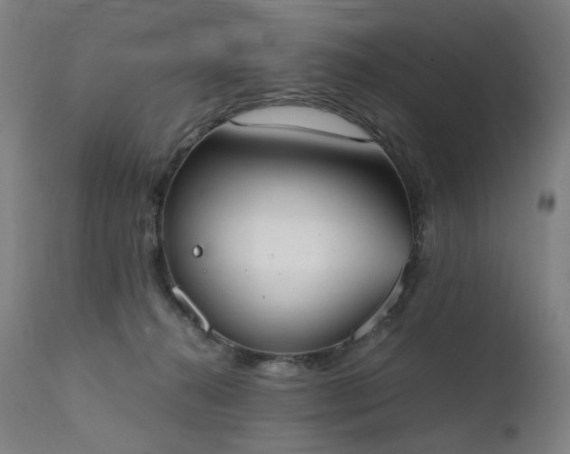 X0000111370272200907171206