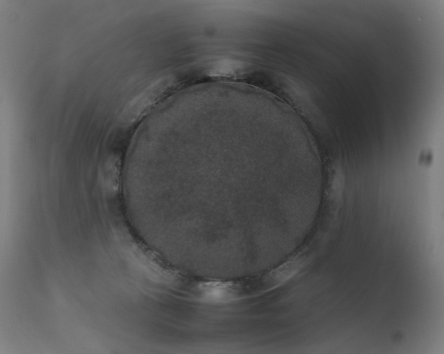 X0000111370273200907171206