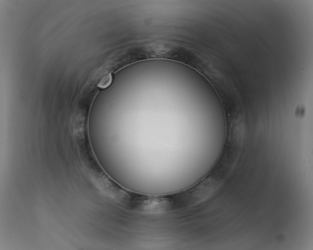 X0000111370274200907171206