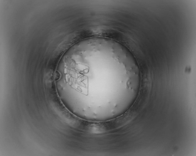 X0000111370275200907171206