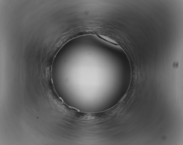 X0000111370276200907171206