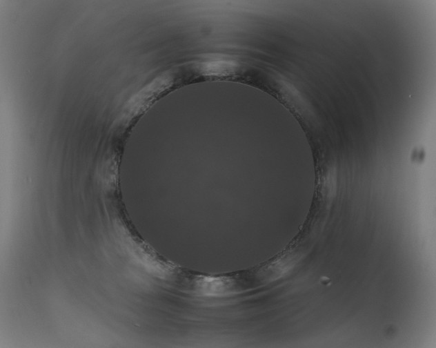 X0000111370277200907171206