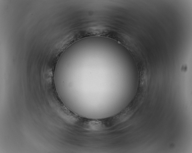 X0000111370279200907171206