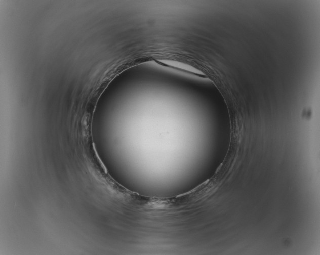 X0000111370280200907171206