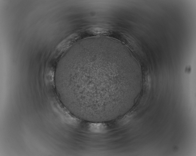 X0000111370281200907171206