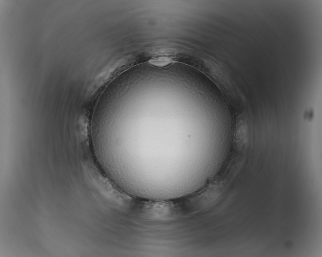 X0000111370282200907171206