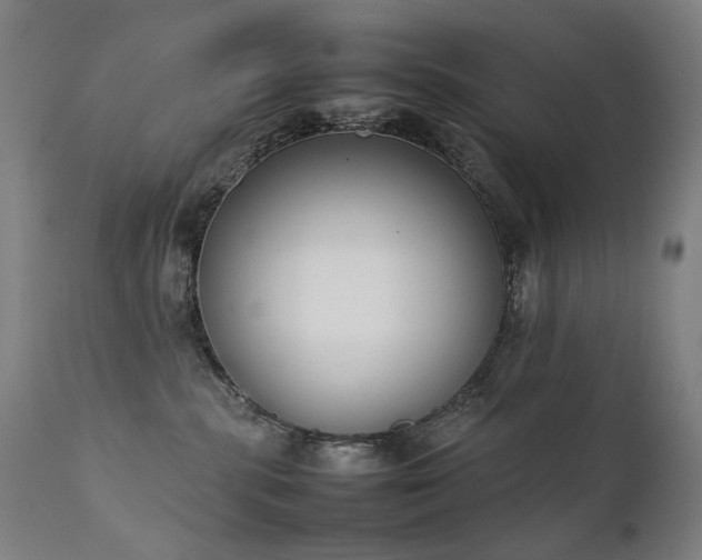 X0000111370283200907171206