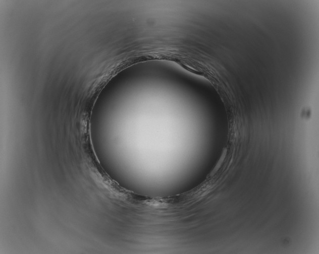 X0000111370284200907171206