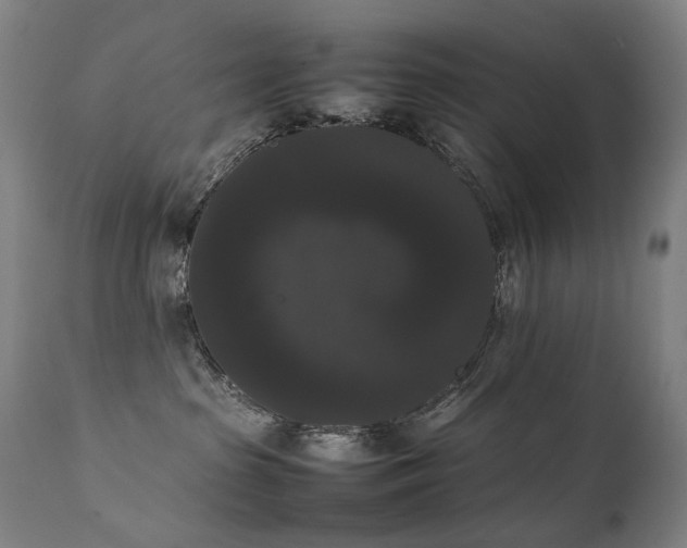 X0000111370285200907171206