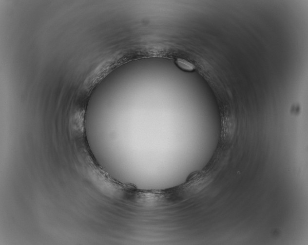 X0000111370286200907171206