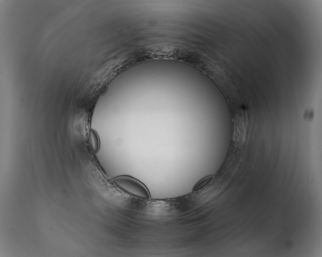 X0000111370287200907171206