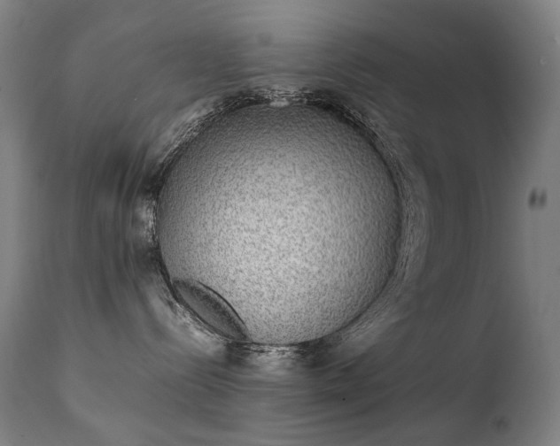 X0000111370288200907171206