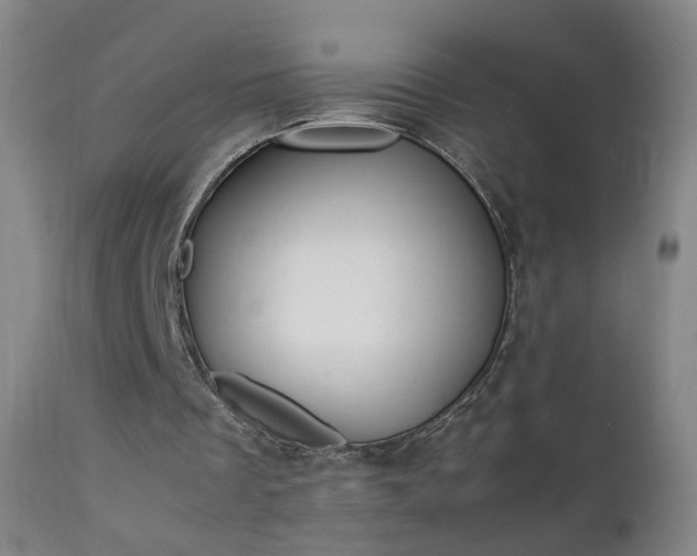 X0000111370289200907171205