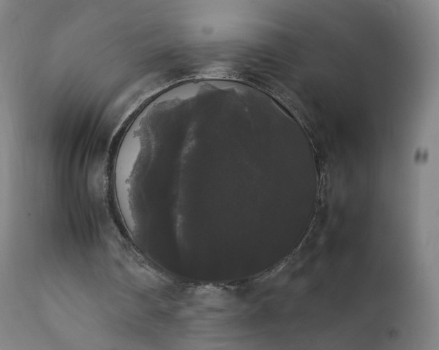 X0000111370290200907171205