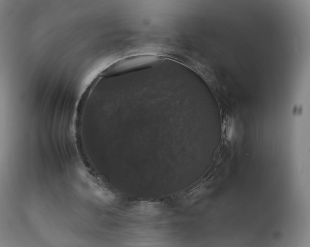 X0000111370292200907171205