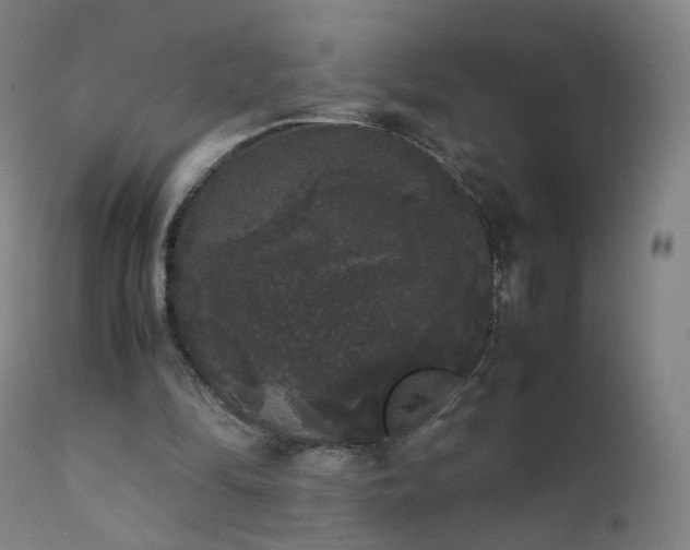 X0000111370294200907171205