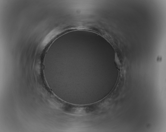 X0000111370295200907171205