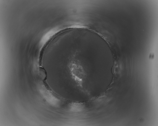 X0000111370296200907171205