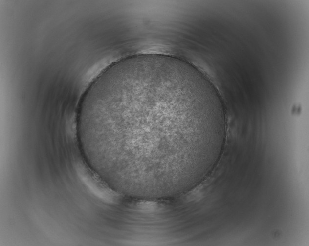 X0000111370298200907171205