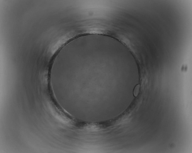 X0000111370299200907171205