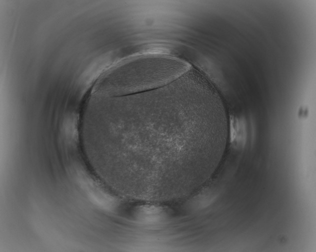 X0000111370300200907171205