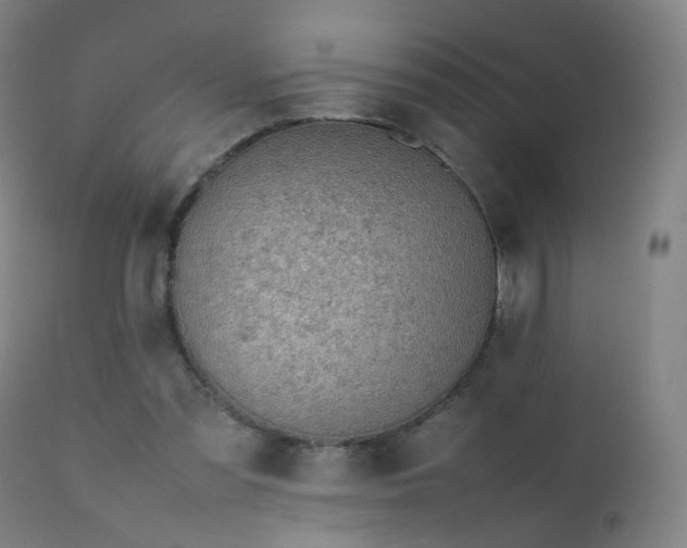 X0000111370301200907171205