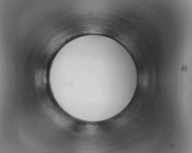 X0000111370302200907171205