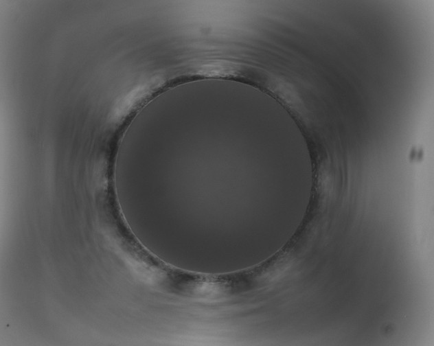 X0000111370303200907171205