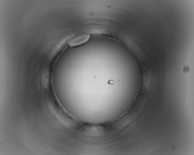 X0000111370304200907171205