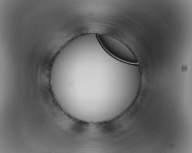 X0000111370305200907171205