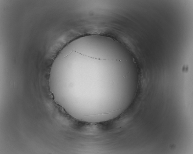 X0000111370307200907171205