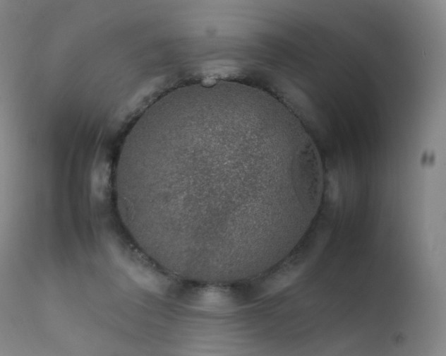 X0000111370308200907171205