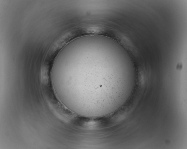 X0000111370312200907171204