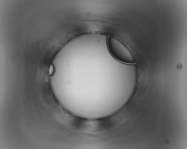 X0000111370313200907171204