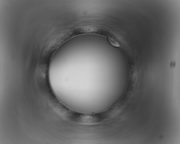 X0000111370315200907171204