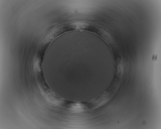 X0000111370316200907171204