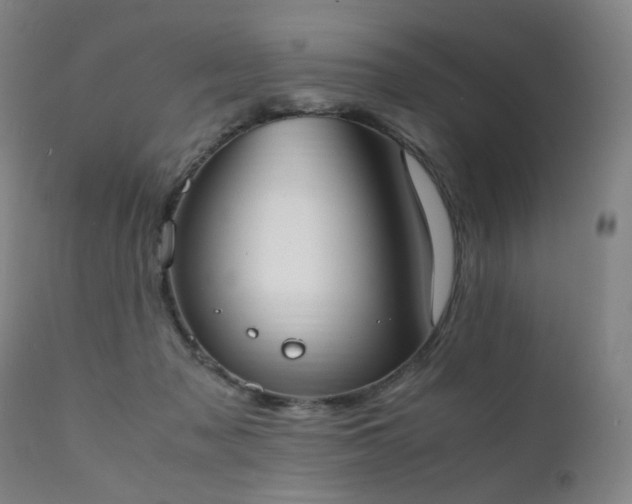 X0000111370317200907171204