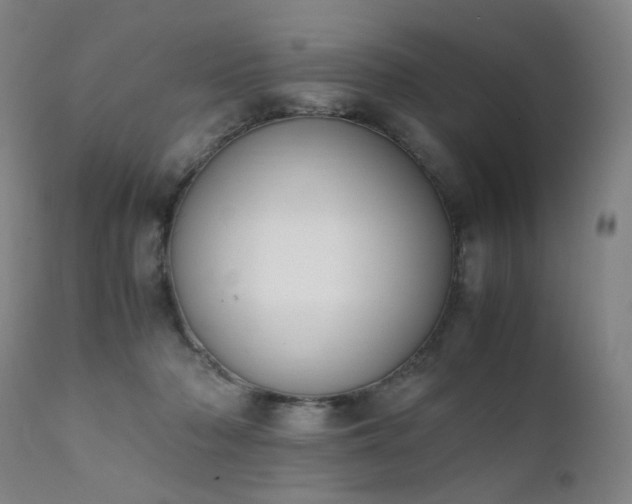 X0000111370318200907171204