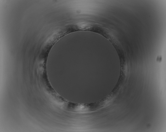 X0000111370319200907171204