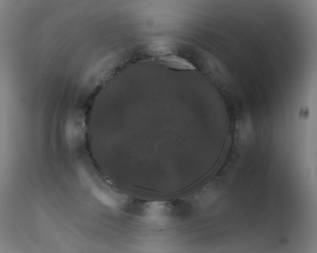 X0000111370320200907171204