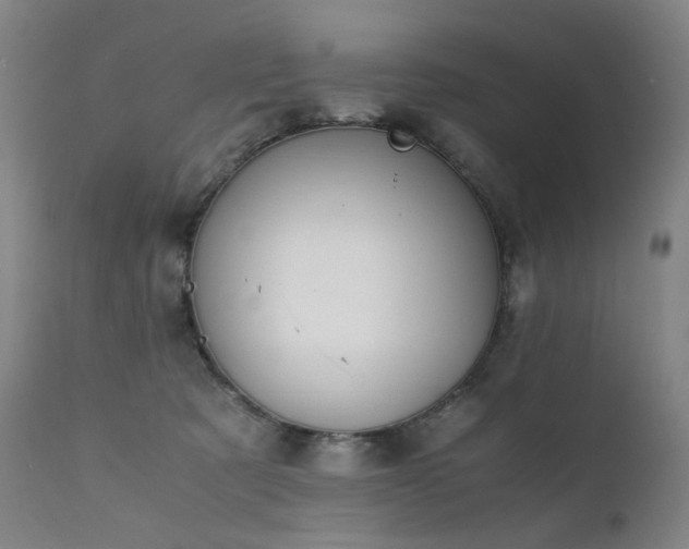 X0000111370321200907171204